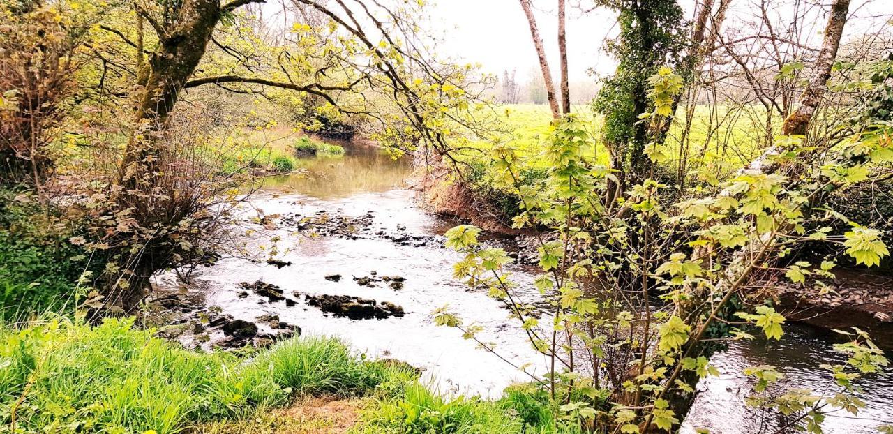 Kingsley Cottage - Beautiful Riverside Setting Beaworthy Zewnętrze zdjęcie