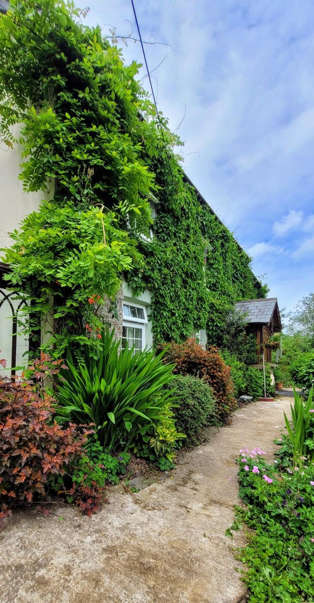 Kingsley Cottage - Beautiful Riverside Setting Beaworthy Zewnętrze zdjęcie