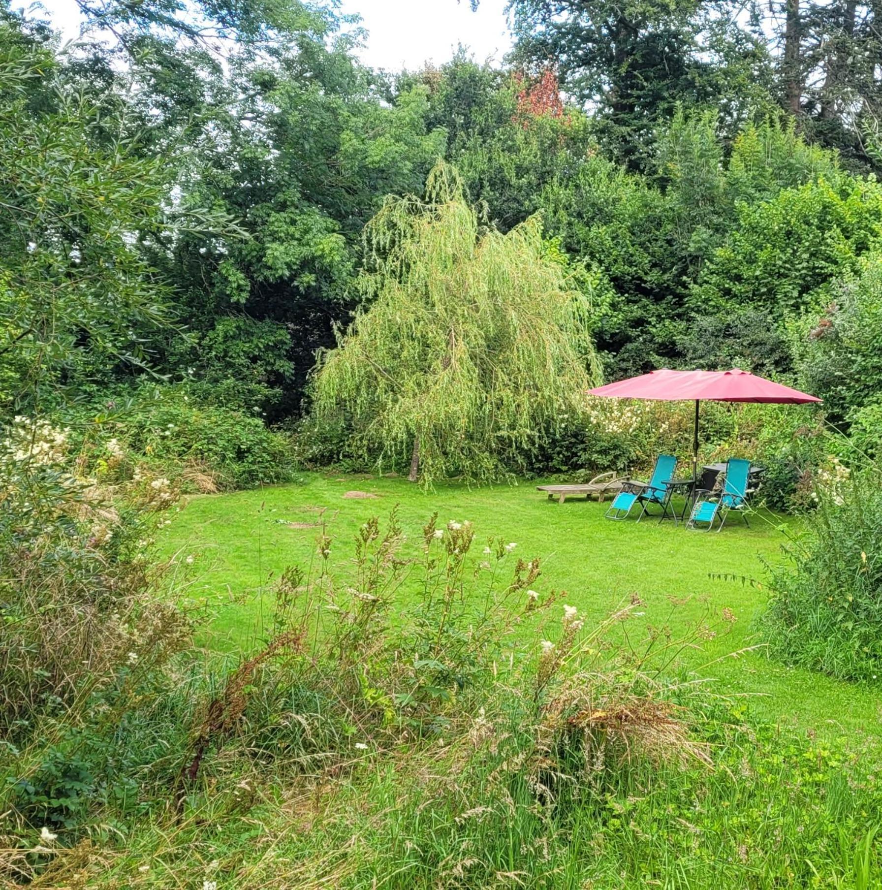 Kingsley Cottage - Beautiful Riverside Setting Beaworthy Zewnętrze zdjęcie